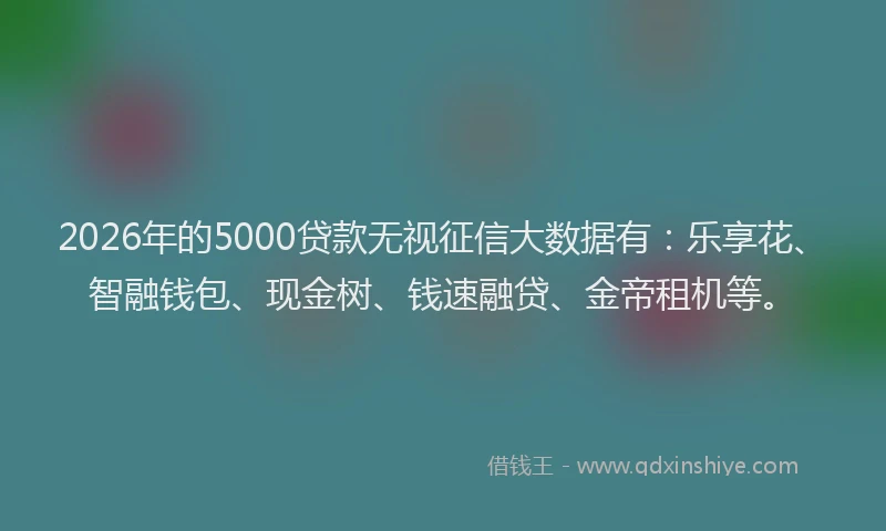 2026年的5000贷款无视征信大数据有:乐享花、智融钱包、现金树、钱速融贷、金帝租机等。