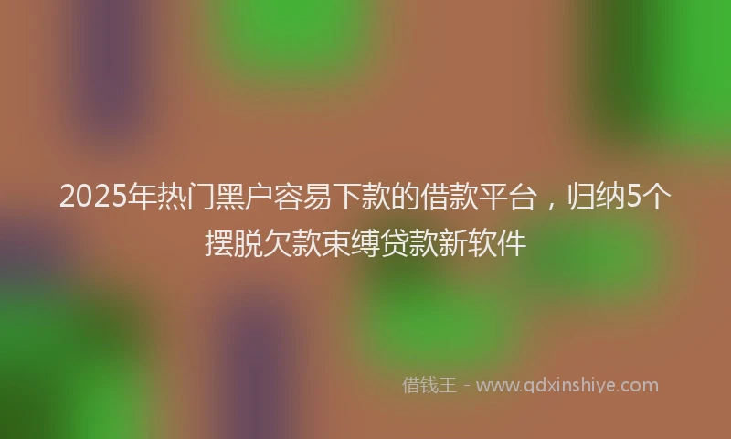 2025年热门黑户容易下款的借款平台，归纳5个摆脱欠款束缚贷款新软件