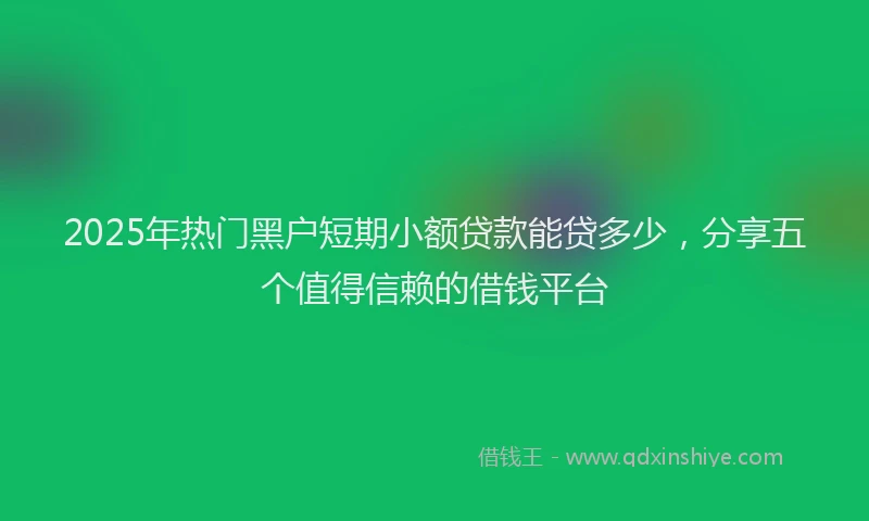 2025年热门黑户短期小额贷款能贷多少，分享五个值得信赖的借钱平台