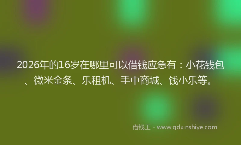2026年的16岁在哪里可以借钱应急有:小花钱包、微米金条、乐租机、手中商城、钱小乐等。