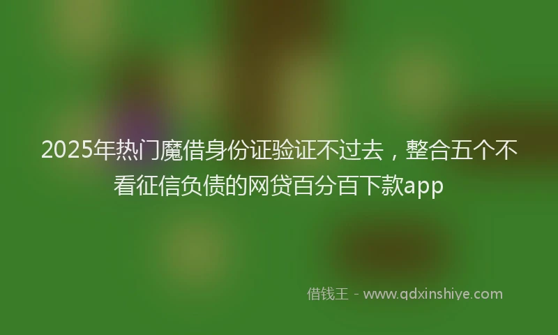 2025年热门魔借身份证验证不过去，整合五个不看征信负债的网贷百分百下款app