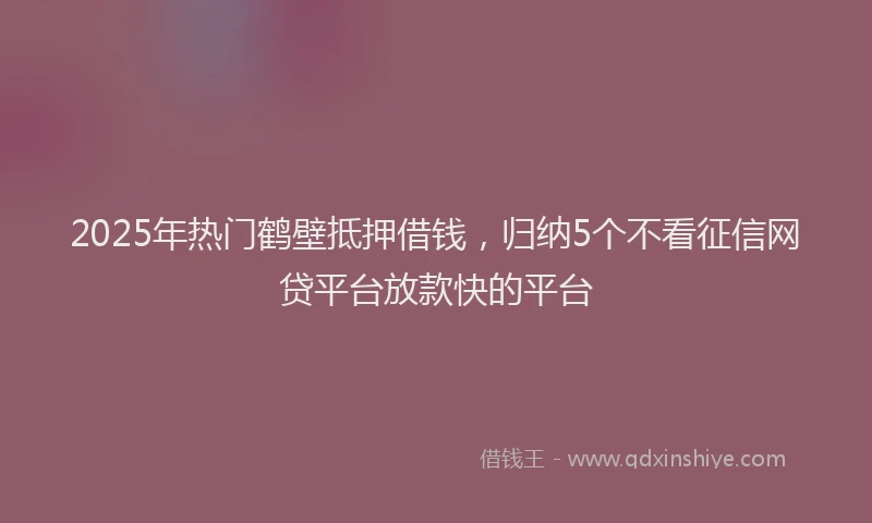 2025年热门鹤壁抵押借钱,归纳5个不看征信网贷平台放款快的平台
