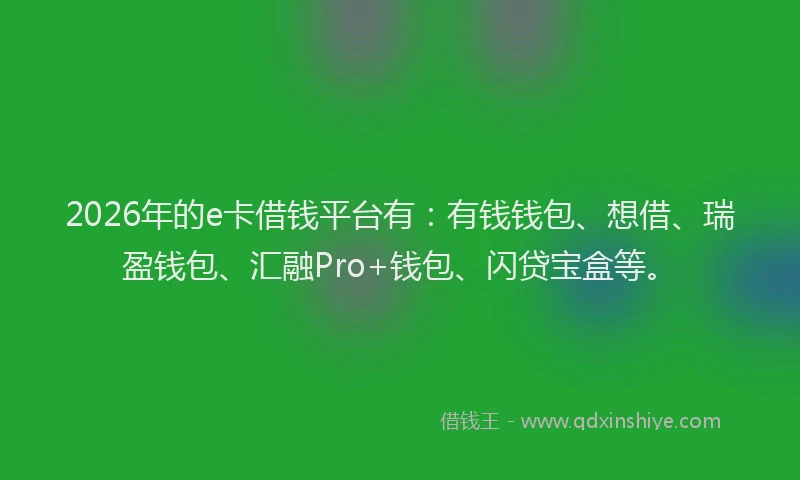 2026年的e卡借钱平台有：有钱钱包、想借、瑞盈钱包、汇融Pro+钱包、闪贷宝盒等。