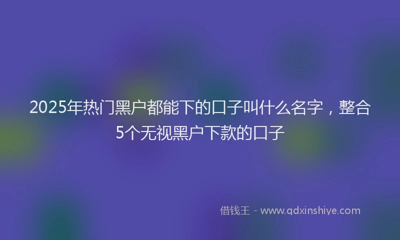 2025年热门黑户都能下的口子叫什么名字，整合5个无视黑户下款的口子
