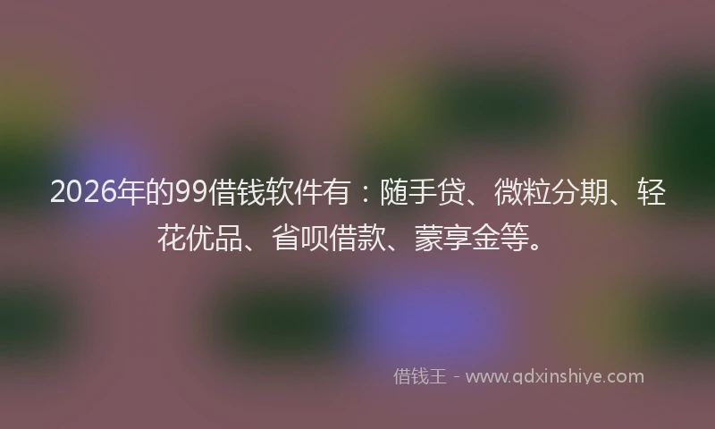 2026年的99借钱软件有：随手贷、微粒分期、轻花优品、省呗借款、蒙享金等。