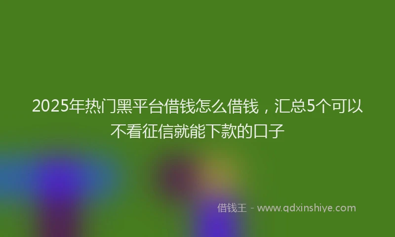 2025年热门黑平台借钱怎么借钱，汇总5个可以不看征信就能下款的口子