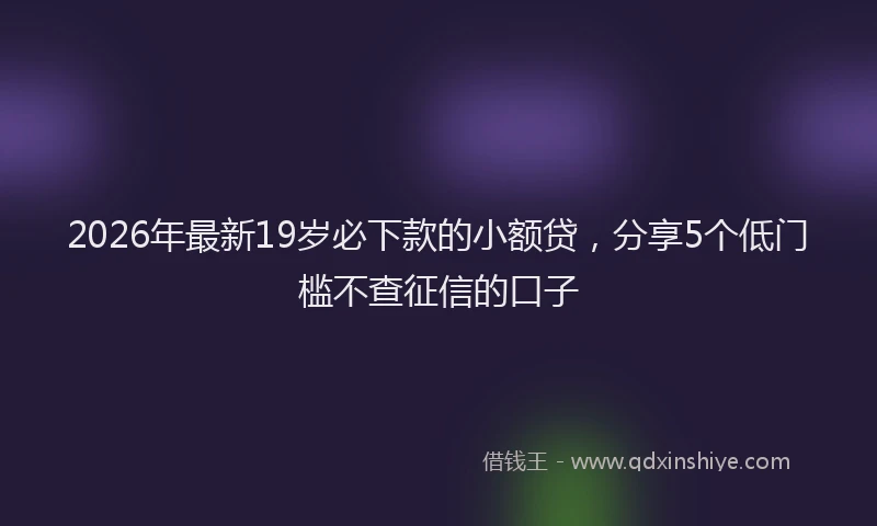 2026年最新19岁必下款的小额贷，分享5个低门槛不查征信的口子