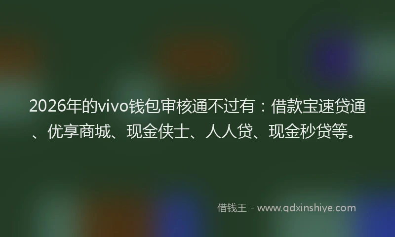 2026年的vivo钱包审核通不过有：借款宝速贷通、优享商城、现金侠士、人人贷、现金秒贷等。