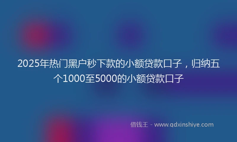2025年热门黑户秒下款的小额贷款口子，归纳五个1000至5000的小额贷款口子