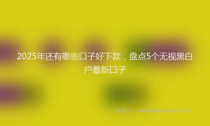 2025年还有哪些口子好下款，盘点5个无视黑白户最新口子