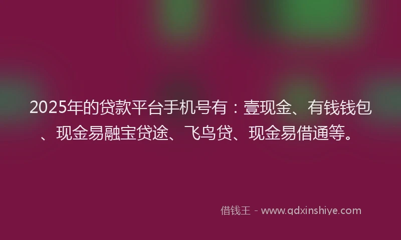 2025年的贷款平台手机号有：壹现金、有钱钱包、现金易融宝贷途、飞鸟贷、现金易借通等。