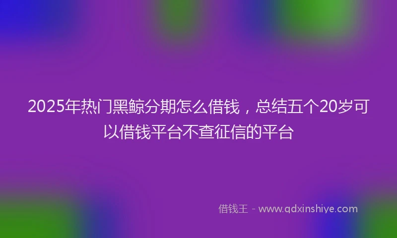 2025年热门黑鲸分期怎么借钱，总结五个20岁可以借钱平台不查征信的平台