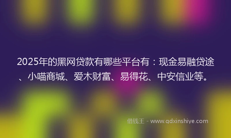 2025年的黑网贷款有哪些平台有：现金易融贷途、小喵商城、爱木财富、易得花、中安信业等。