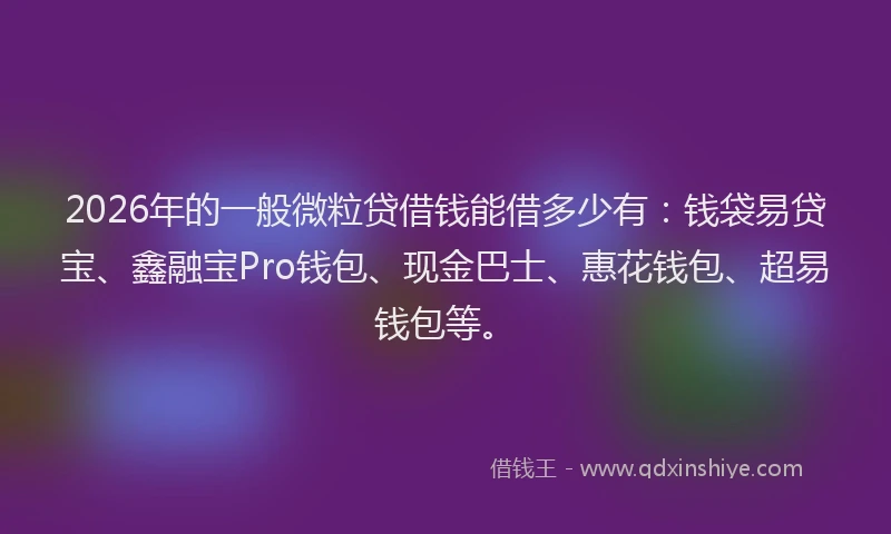 2026年的一般微粒贷借钱能借多少有:钱袋易贷宝、鑫融宝Pro钱包、现金巴士、惠花钱包、超易钱包等。