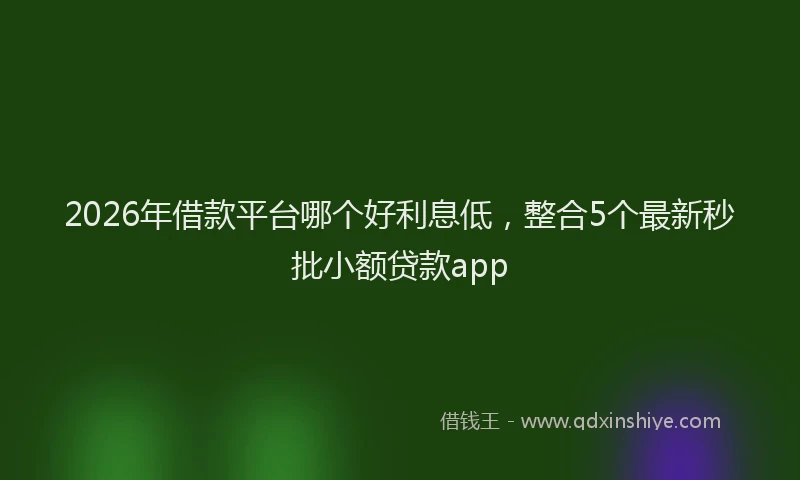 2026年借款平台哪个好利息低，整合5个最新秒批小额贷款app