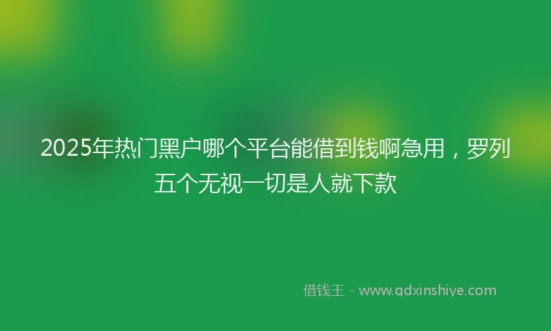 2025年热门黑户哪个平台能借到钱啊急用，罗列五个无视一切是人就下款