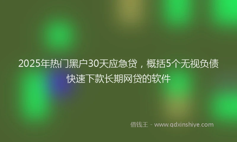 2025年热门黑户30天应急贷,概括5个无视负债快速下款长期网贷的软件