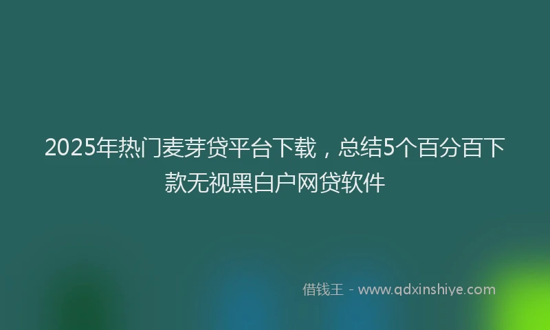 2025年热门麦芽贷平台下载，总结5个百分百下款无视黑白户网贷软件