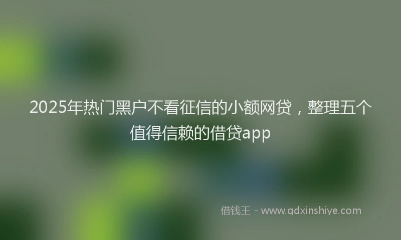2025年热门黑户不看征信的小额网贷，整理五个值得信赖的借贷app