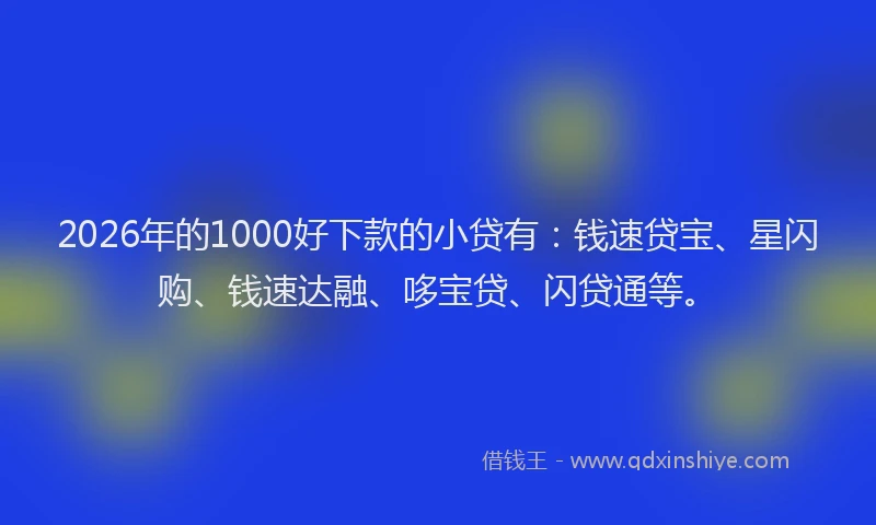 2026年的1000好下款的小贷有：钱速贷宝、星闪购、钱速达融、哆宝贷、闪贷通等。