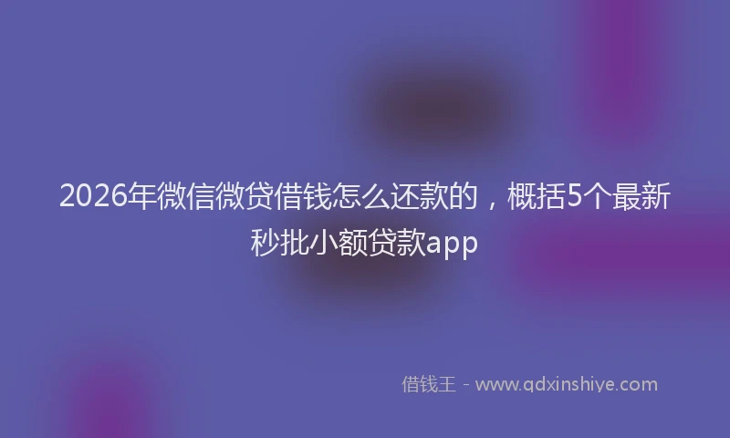 2026年微信微贷借钱怎么还款的,概括5个最新秒批小额贷款app