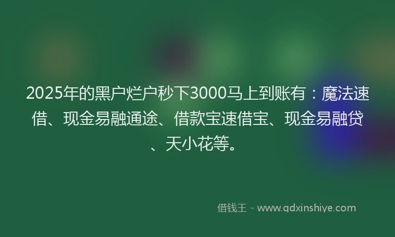 2025年的黑户烂户秒下3000马上到账有:魔法速借、现金易融通途、借款宝速借宝、现金易融贷、天小花等。