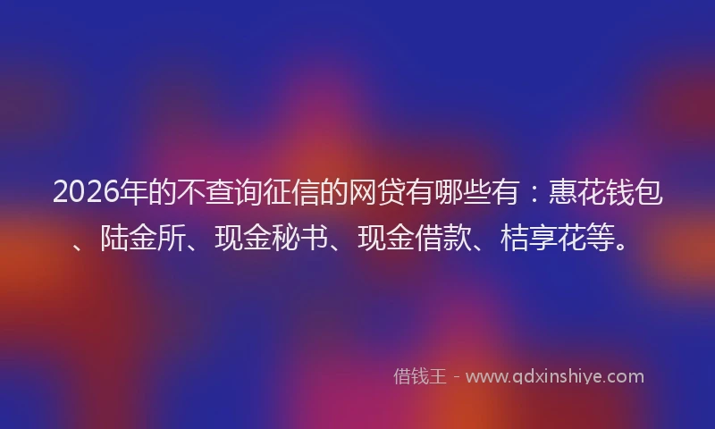 2026年的不查询征信的网贷有哪些有：惠花钱包、陆金所、现金秘书、现金借款、桔享花等。