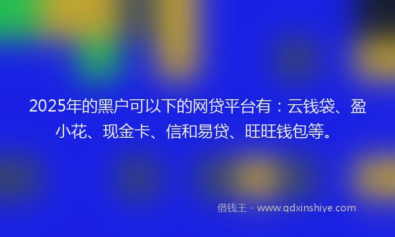 2025年的黑户可以下的网贷平台有:云钱袋、盈小花、现金卡、信和易贷、旺旺钱包等。