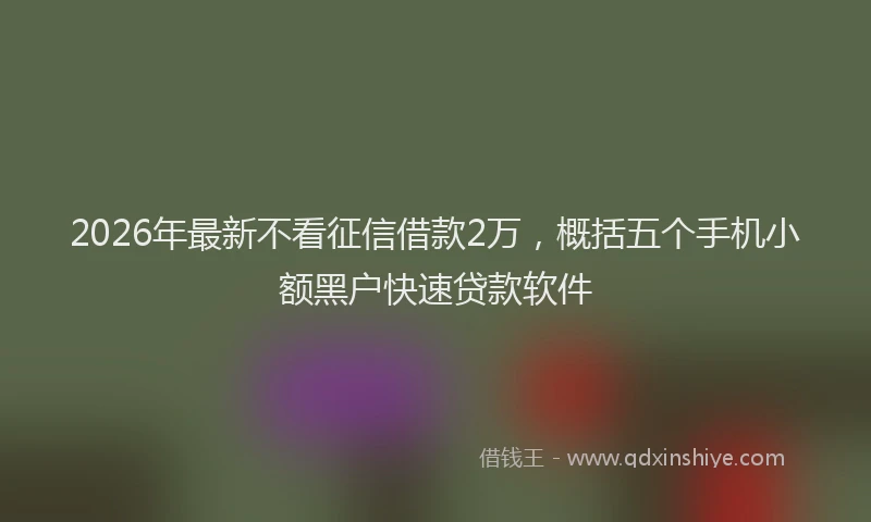 2026年最新不看征信借款2万，概括五个手机小额黑户快速贷款软件
