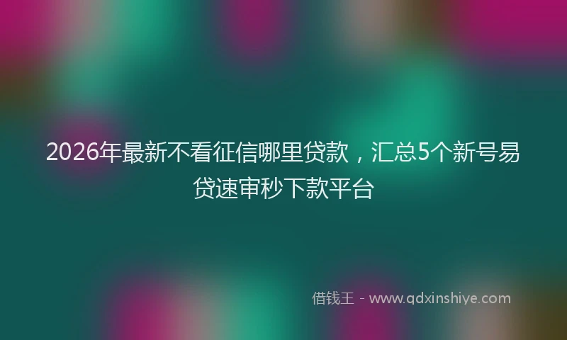 2026年最新不看征信哪里贷款，汇总5个新号易贷速审秒下款平台