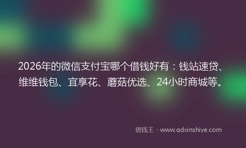 2026年的微信支付宝哪个借钱好有：钱站速贷、维维钱包、宜享花、蘑菇优选、24小时商城等。