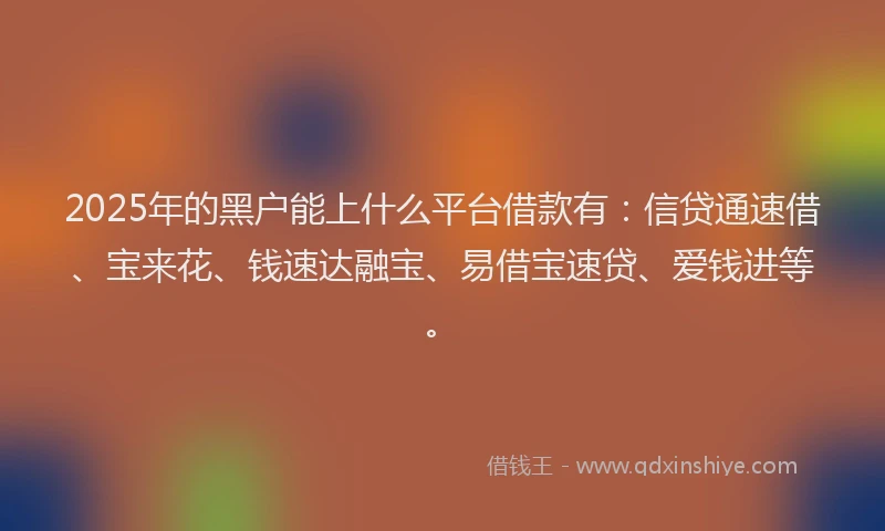 2025年的黑户能上什么平台借款有：信贷通速借、宝来花、钱速达融宝、易借宝速贷、爱钱进等。
