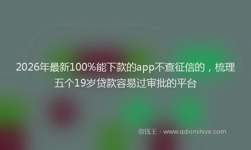 2026年最新100%能下款的app不查征信的，梳理五个19岁贷款容易过审批的平台