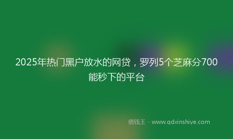 2025年热门黑户放水的网贷,罗列5个芝麻分700能秒下的平台