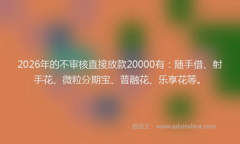 2026年的不审核直接放款20000有:随手借、射手花、微粒分期宝、普融花、乐享花等。