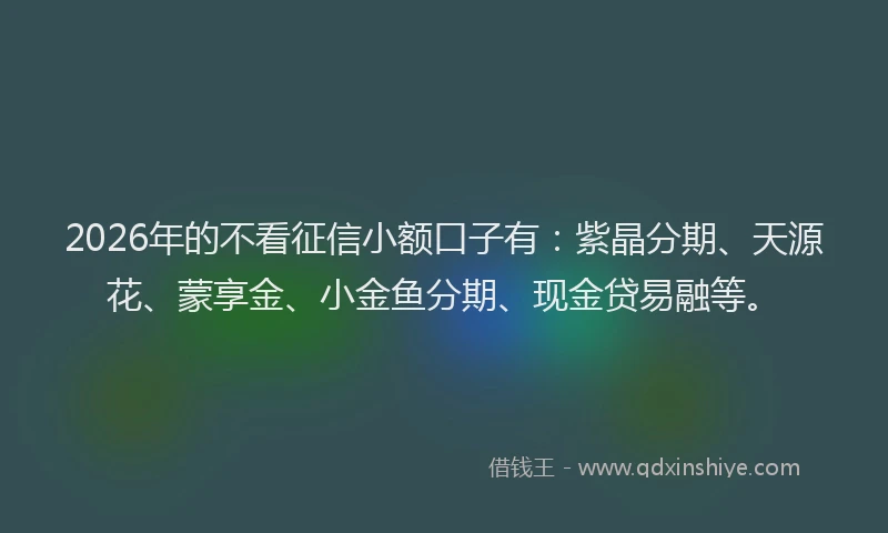 2026年的不看征信小额口子有：紫晶分期、天源花、蒙享金、小金鱼分期、现金贷易融等。