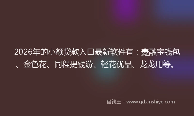 2026年的小额贷款入口最新软件有：鑫融宝钱包、金色花、同程提钱游、轻花优品、龙龙用等。