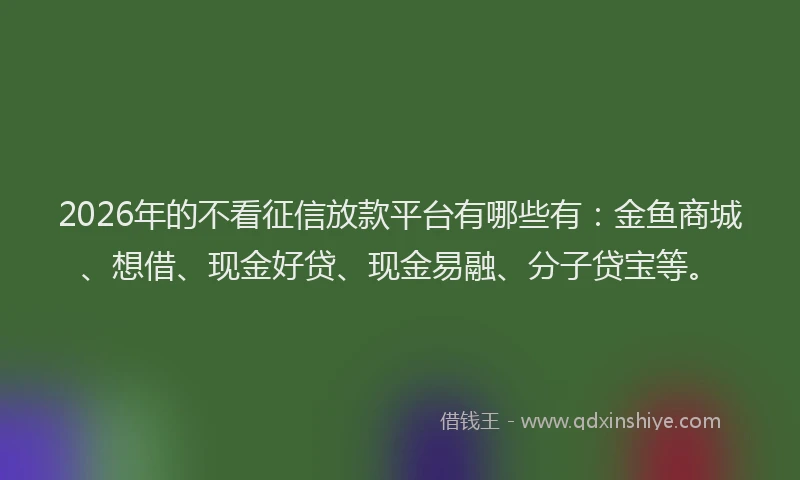 2026年的不看征信放款平台有哪些有:金鱼商城、想借、现金好贷、现金易融、分子贷宝等。