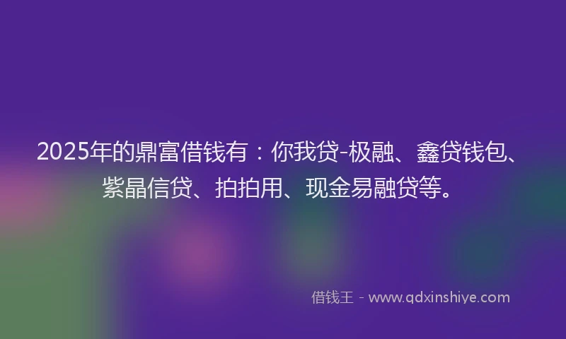 2025年的鼎富借钱有：你我贷-极融、鑫贷钱包、紫晶信贷、拍拍用、现金易融贷等。