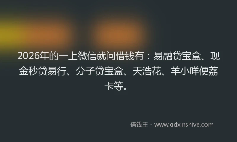 2026年的一上微信就问借钱有：易融贷宝盒、现金秒贷易行、分子贷宝盒、天浩花、羊小咩便荔卡等。