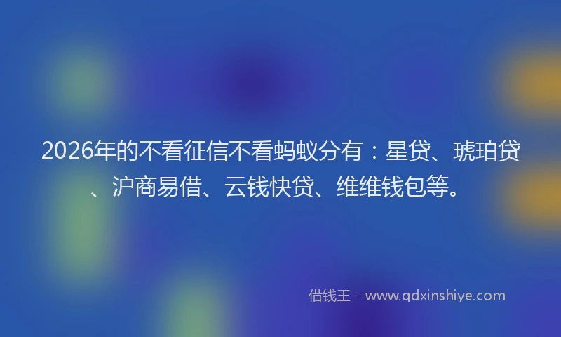 2026年的不看征信不看蚂蚁分有:星贷、琥珀贷、沪商易借、云钱快贷、维维钱包等。