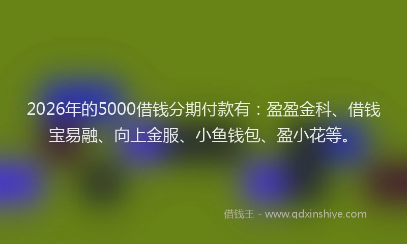 2026年的5000借钱分期付款有：盈盈金科、借钱宝易融、向上金服、小鱼钱包、盈小花等。