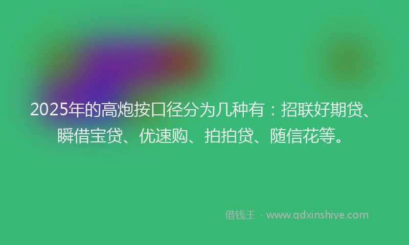 2025年的高炮按口径分为几种有:招联好期贷、瞬借宝贷、优速购、拍拍贷、随信花等。
