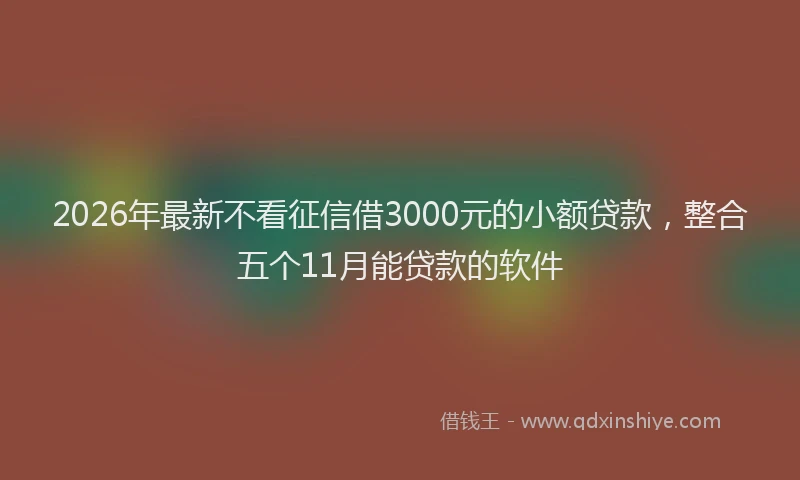 2026年最新不看征信借3000元的小额贷款，整合五个11月能贷款的软件