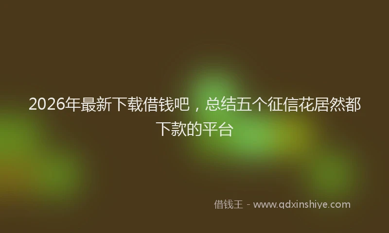 2026年最新下载借钱吧,总结五个征信花居然都下款的平台