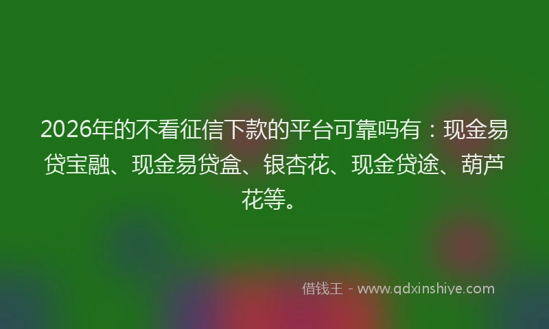 2026年的不看征信下款的平台可靠吗有:现金易贷宝融、现金易贷盒、银杏花、现金贷途、葫芦花等。