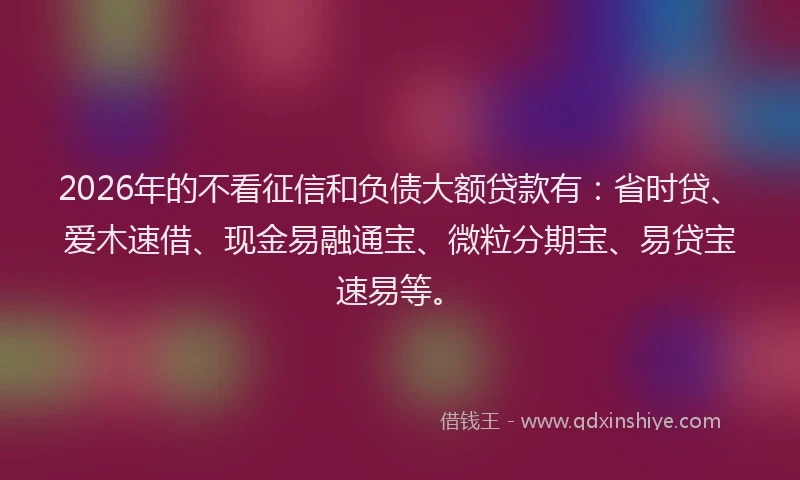 2026年的不看征信和负债大额贷款有：省时贷、爱木速借、现金易融通宝、微粒分期宝、易贷宝速易等。