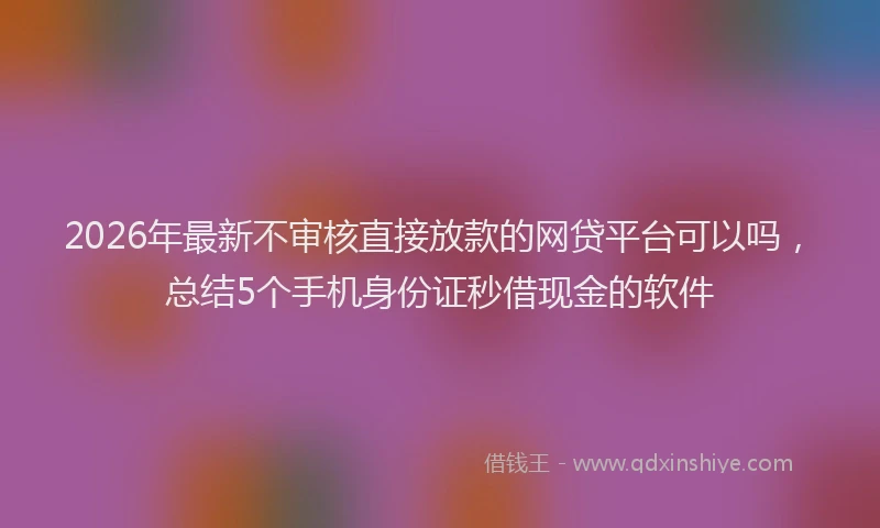 2026年最新不审核直接放款的网贷平台可以吗,总结5个手机身份证秒借现金的软件
