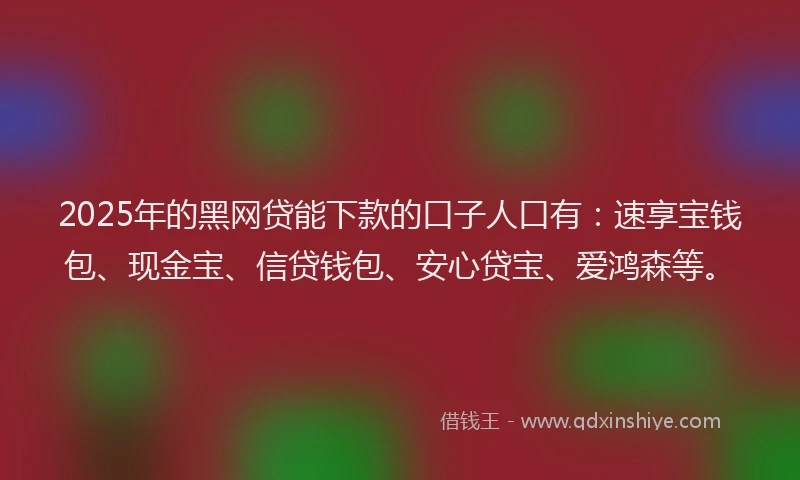 2025年的黑网贷能下款的口子人口有：速享宝钱包、现金宝、信贷钱包、安心贷宝、爱鸿森等。