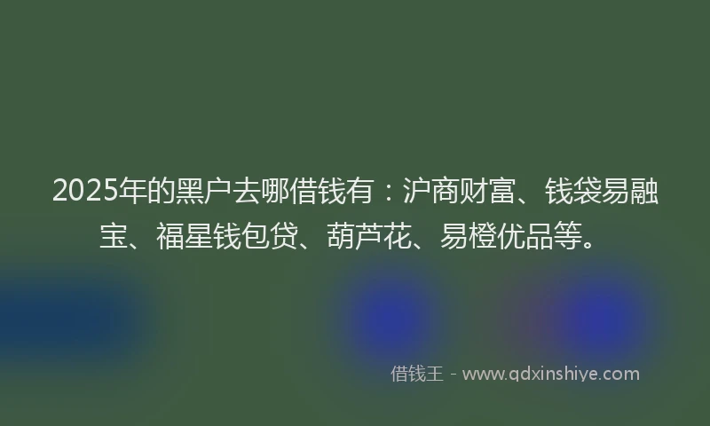 2025年的黑户去哪借钱有:沪商财富、钱袋易融宝、福星钱包贷、葫芦花、易橙优品等。